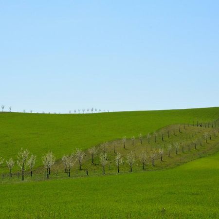 Moravske Toskansko Stavesice Bagian luar foto
