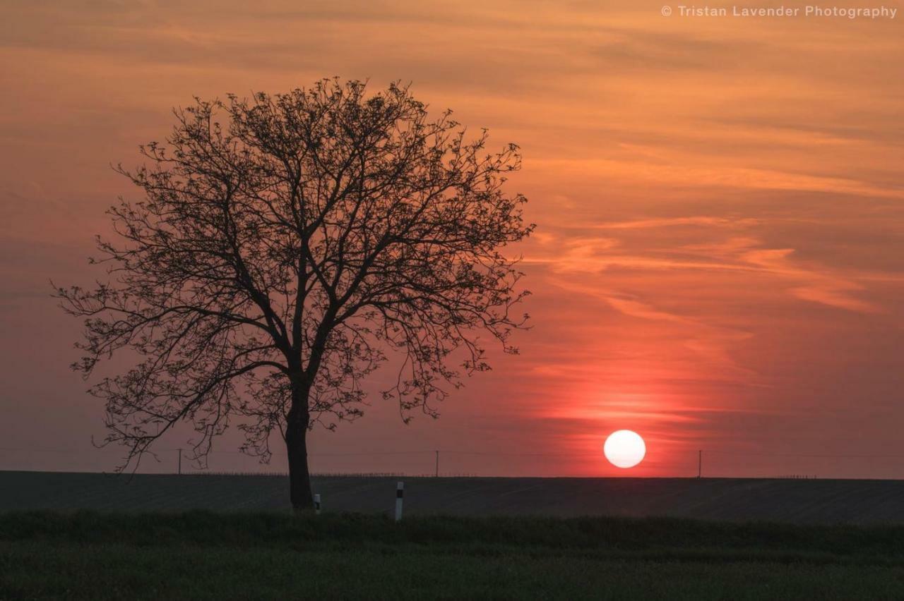 Moravske Toskansko Stavesice Bagian luar foto