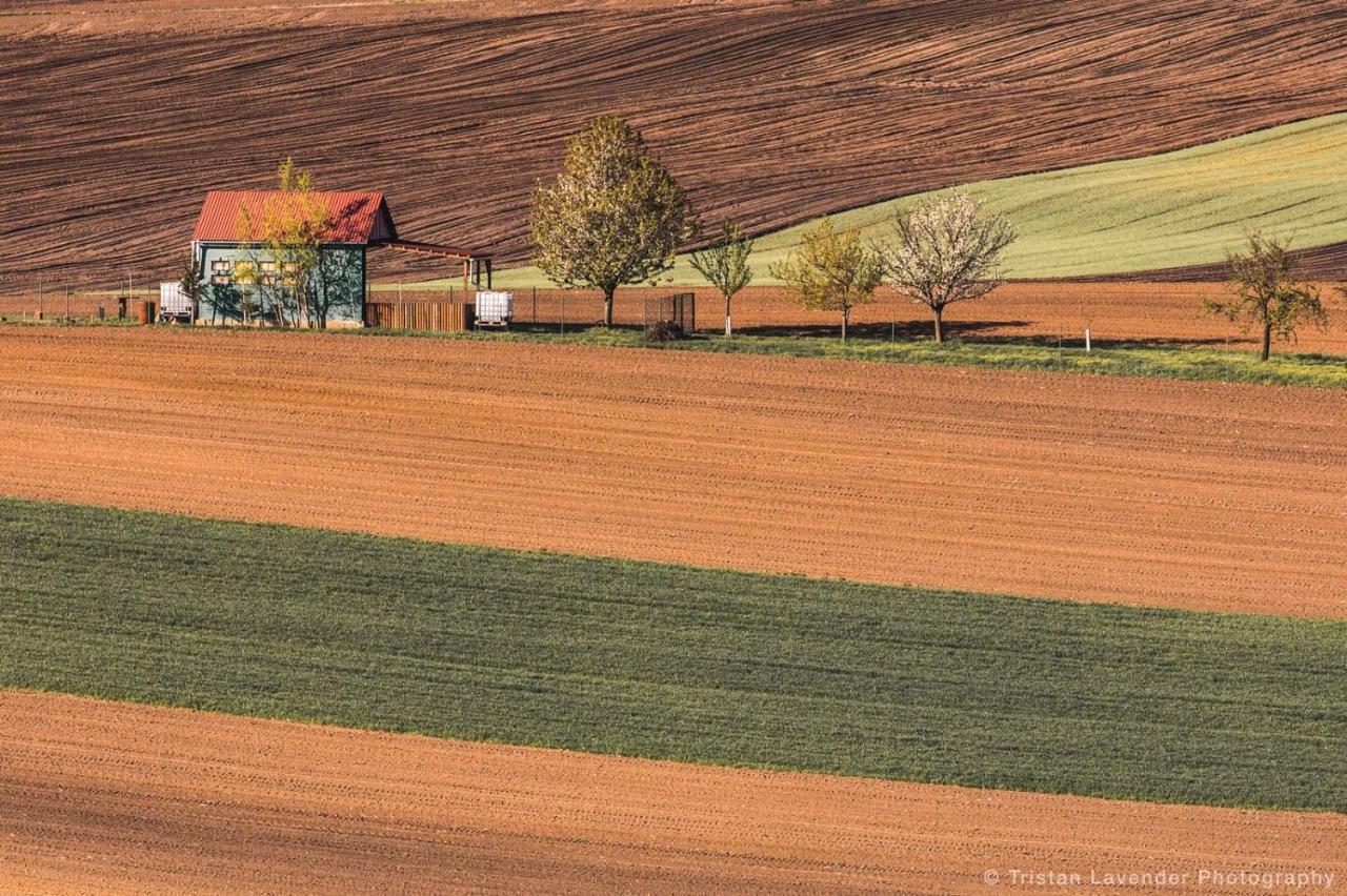 Moravske Toskansko Stavesice Bagian luar foto