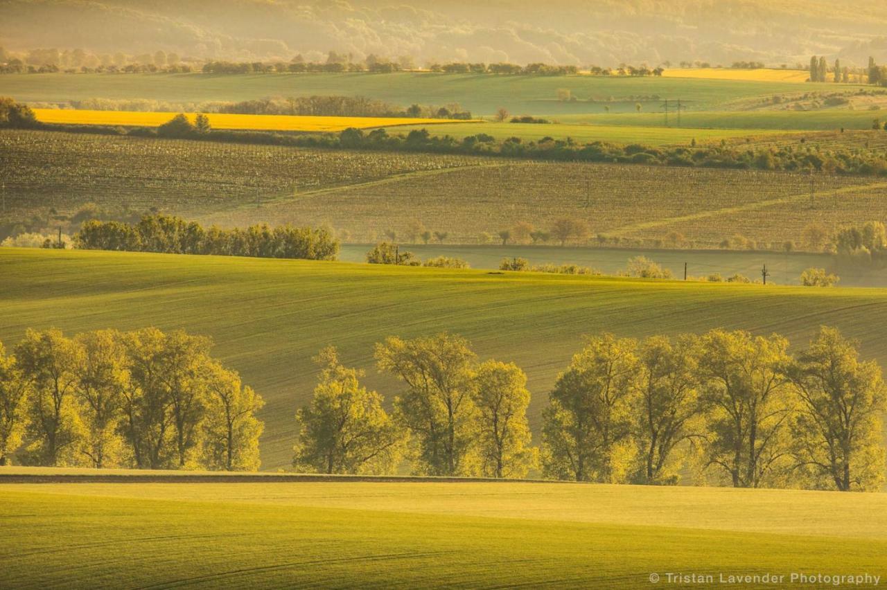 Moravske Toskansko Stavesice Bagian luar foto