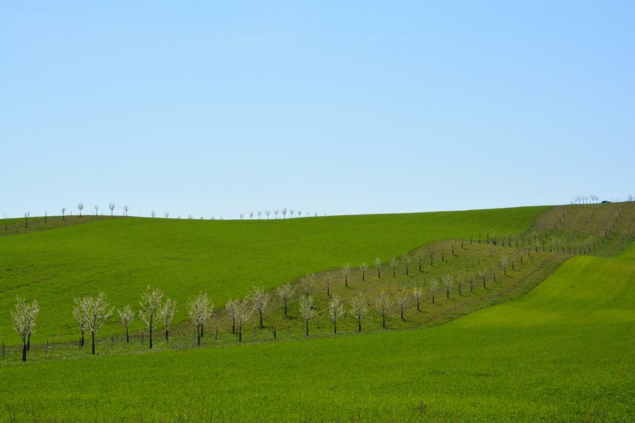 Moravske Toskansko Stavesice Bagian luar foto